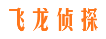 平南飞龙私家侦探公司